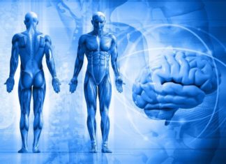 A new study reports patients with major depressive disorder and treatment resistant depression have decreased levels of acetyl-L-carnitine in their blood
