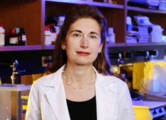 Human clinical trial reveals verapamil as an effective type 1 diabetes therapy