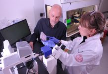 Malaria drug could make cancer treatments more effective