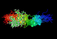 A drug used to treat diabetes may point to new therapies for respiratory syncytial virus (RSV) bronchiolitis