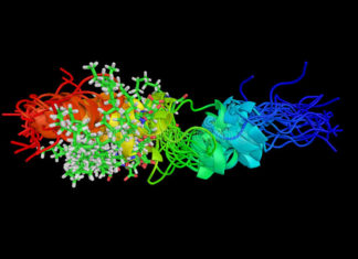 A drug used to treat diabetes may point to new therapies for respiratory syncytial virus (RSV) bronchiolitis