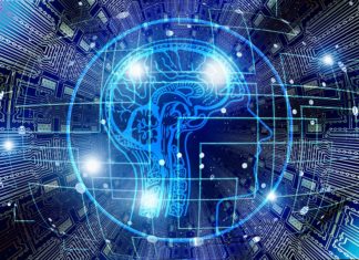 A team of researchers from China and Singapore has discovered a region in the brain that appears to play a central role in regulating eating behavior