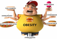Researchers have found that patients who have metabolic healthy obesity, but no other metabolic risk factors, do not have an increased rate of mortality
