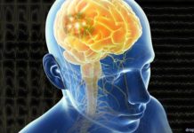 Children with autism show abnormalities in a deep brain circuit that typically makes socializing enjoyable