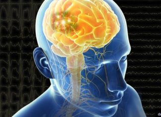 Children with autism show abnormalities in a deep brain circuit that typically makes socializing enjoyable