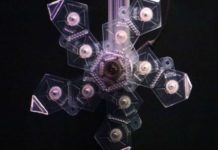 Folding polyhedron sampler enables easy capture and release of delicate underwater organisms