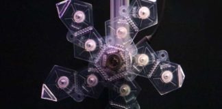 Folding polyhedron sampler enables easy capture and release of delicate underwater organisms