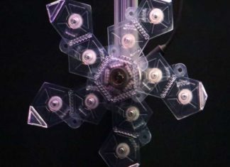 Folding polyhedron sampler enables easy capture and release of delicate underwater organisms