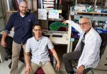 A team has identified a master switch that appears to control the dynamic behavior of tumor cells that makes some aggressive cancers
