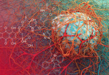 A new combination of existing drugs shows promise that it could reduce the size of cancerous tumors much more effectively than current treatments
