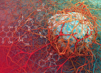 A new combination of existing drugs shows promise that it could reduce the size of cancerous tumors much more effectively than current treatments