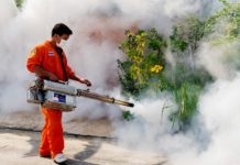 A study of more than 1 million pregnancies in Finland reports that elevated levels of a metabolite of the banned insecticide DDT in the blood of pregnant women are linked to increased risk for autism in the offspring