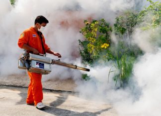A study of more than 1 million pregnancies in Finland reports that elevated levels of a metabolite of the banned insecticide DDT in the blood of pregnant women are linked to increased risk for autism in the offspring