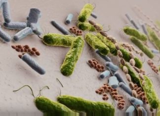 An Israeli startup, Nobio Ltd., says it has developed particles that, when infused into a surface, kill germs as they land on that surface