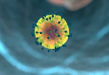 As soon as a baby is born, its immune system starts to change dramatically in response to the pathogens in its new environment