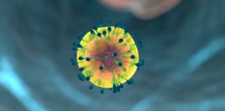 As soon as a baby is born, its immune system starts to change dramatically in response to the pathogens in its new environment