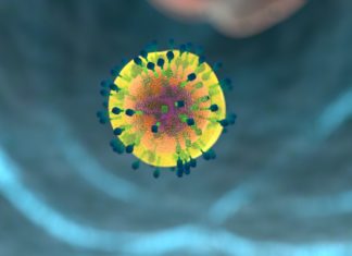 As soon as a baby is born, its immune system starts to change dramatically in response to the pathogens in its new environment