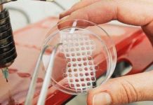 Bone tissue engineering (BTE) is a developing field in materials science and bioengineering, in which researchers aim to engineer an ideal, bioinspired material to promote assisted bone repair