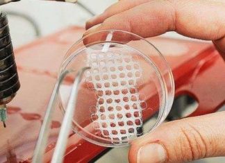 Bone tissue engineering (BTE) is a developing field in materials science and bioengineering, in which researchers aim to engineer an ideal, bioinspired material to promote assisted bone repair