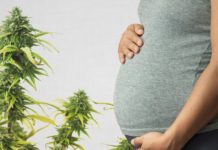 Breast milk : Marijuana found up to six days after use