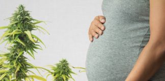 Breast milk : Marijuana found up to six days after use