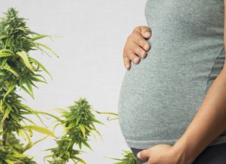 Breast milk : Marijuana found up to six days after use