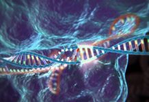 Researchers use CRISPR gene editing technology to target GABA receptors in order to help treat mood disorders