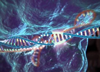Researchers use CRISPR gene editing technology to target GABA receptors in order to help treat mood disorders