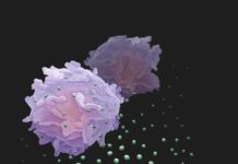 Cancer cells are more than a lump of cells growing out of control; they participate in active combat with the immune system for their own survival