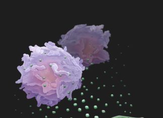 Cancer cells are more than a lump of cells growing out of control; they participate in active combat with the immune system for their own survival