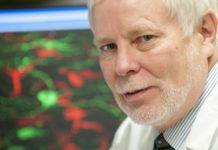 Cleveland Clinic researchers have discovered a new subtype of multiple sclerosis (MS)