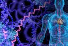 ETH Zurich : analysed very large amounts of genetic cancer data, found previously unresearched molecular changes