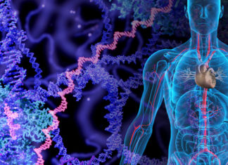 ETH Zurich : analysed very large amounts of genetic cancer data, found previously unresearched molecular changes