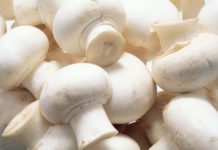 Eating white button mushrooms can create subtle shifts in the microbial community in the gut, which could improve the regulation of glucose in the liver