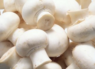 Eating white button mushrooms can create subtle shifts in the microbial community in the gut, which could improve the regulation of glucose in the liver
