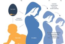 Exposure to an acute stress in utero can have long-term consequences extending into childhood – but only among children in poor households