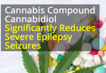 Findings from the landmark study at the University of Alabama at Birmingham on cannabidiol, or CBD oil, provide the published evidence of significant improvements in seizure frequency and other measures of efficacy in patients with treatment-resistant epilepsy