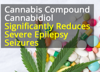 Findings from the landmark study at the University of Alabama at Birmingham on cannabidiol, or CBD oil, provide the published evidence of significant improvements in seizure frequency and other measures of efficacy in patients with treatment-resistant epilepsy