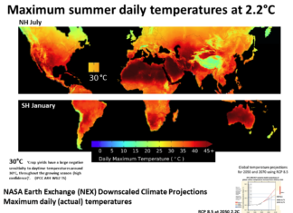 Globe warms up : Heatwave deaths will rise steadily by 2080
