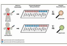 Kawasaki Disease (KD) can be accurately diagnosed on the basis of the pattern of host gene expression in whole blood