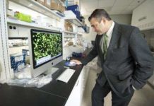 Michigan State University study has found that a malfunctioning gene associated with a common arthritic disease that often starts in teenagers