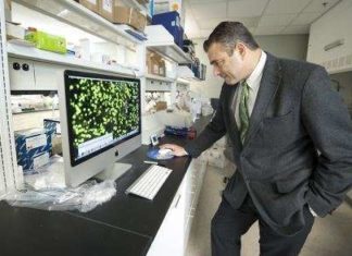 Michigan State University study has found that a malfunctioning gene associated with a common arthritic disease that often starts in teenagers