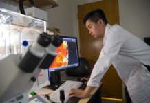 Muscular dystrophy patients could someday also benefit from this hydrogel successfully tested in mice