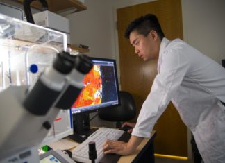 Muscular dystrophy patients could someday also benefit from this hydrogel successfully tested in mice