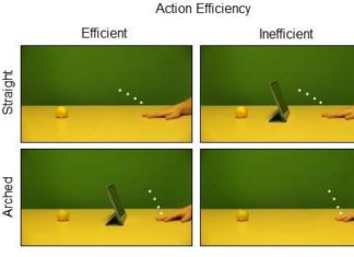 New research shows that humans “see” the actions of others not quite as they really are, but slightly distorted by their expectations.