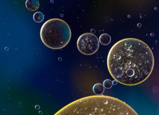 Research shows there are types of small molecules called senolytics that can reverse the impact of aged, senescent cells