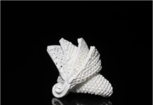 Research team develops the world’s first-ever 4-D printing for ceramics