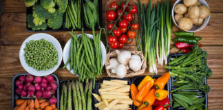 Salk scientists find that common dietary elements cure lethal infections, eliminating the need for antibiotics