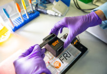 Simple test detects disease-carrying mosquitoes