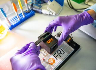 Simple test detects disease-carrying mosquitoes